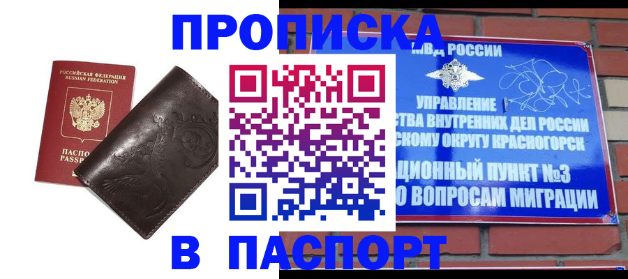 миграционный учет в Камышлове
